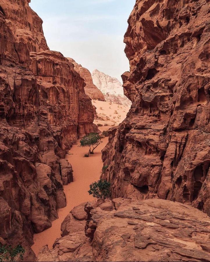 Wadi Rum Camp Exterior foto