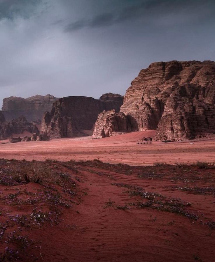Wadi Rum Camp Exterior foto
